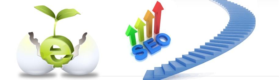 �P�ھW(w��ng)վ����������˼��