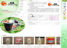 �V�����AʳƷ��˾�W(w��ng)վ���O